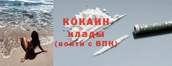 спайс Каменка