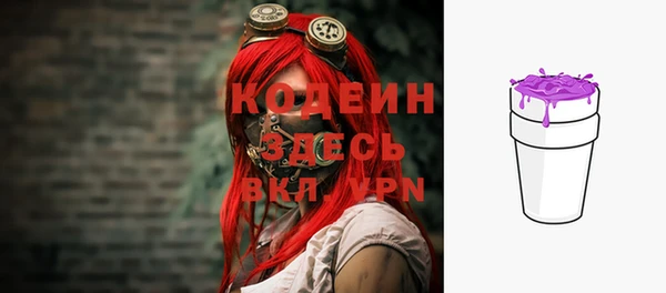 спайс Каменка