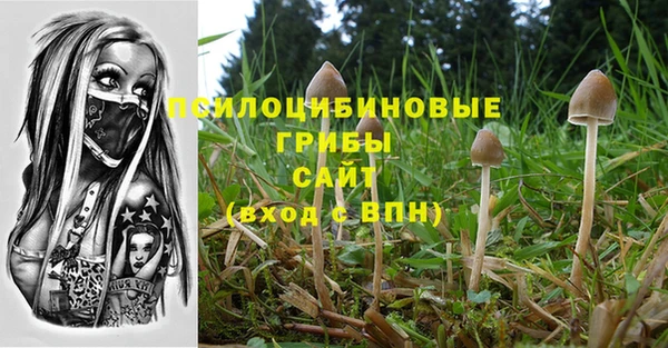 спайс Каменка